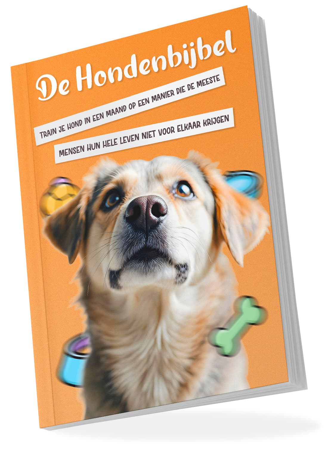 De Hondenbijbel (boek)